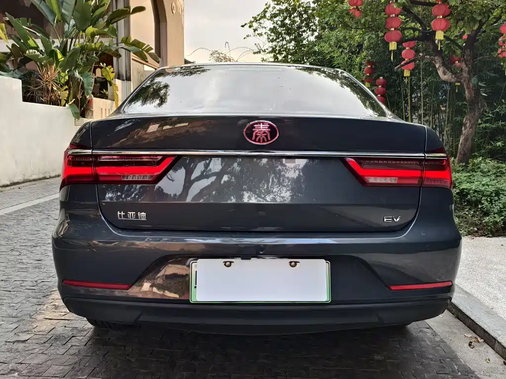 BYD Qin NEV 2019 Luxury