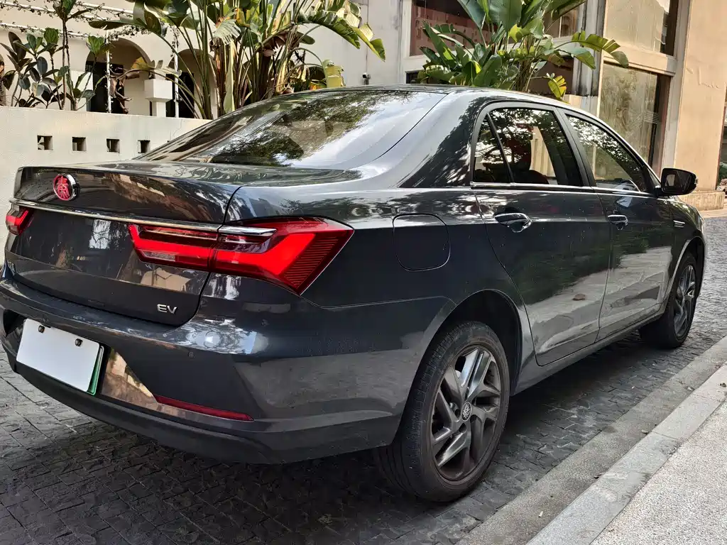 BYD Qin NEV 2019 Luxury