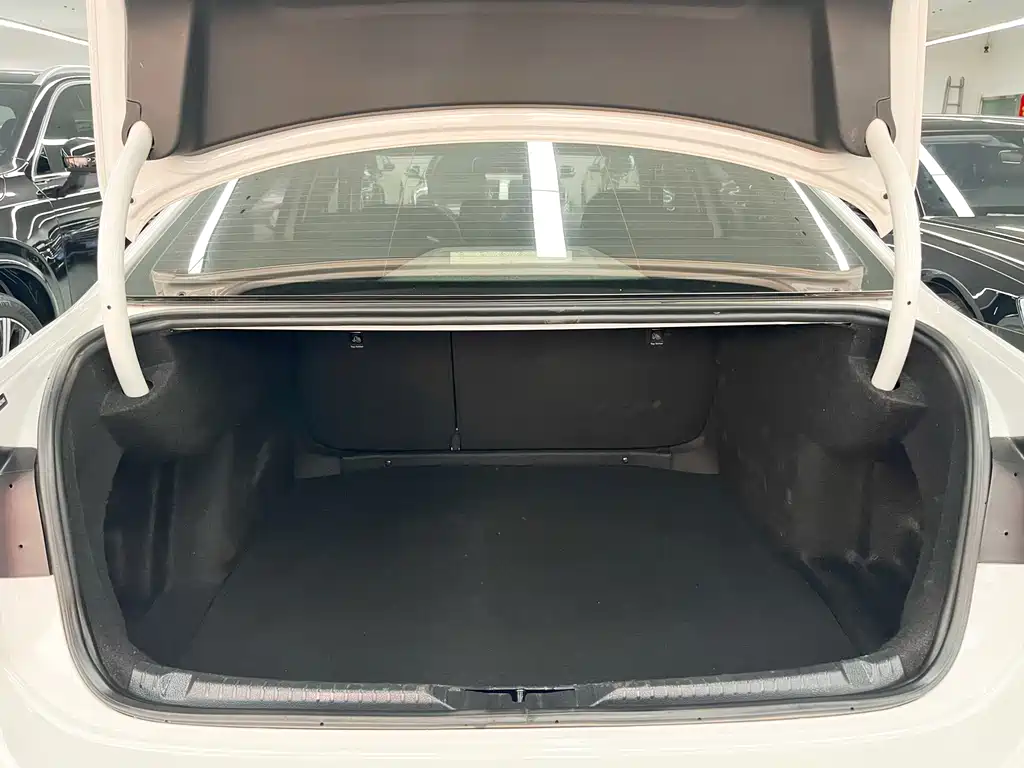 Volkswagen Lamando — миниатюра 19