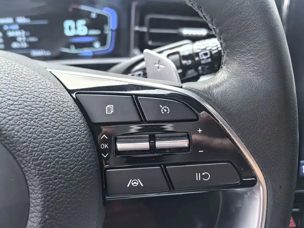 Hyundai Custo — миниатюра 17