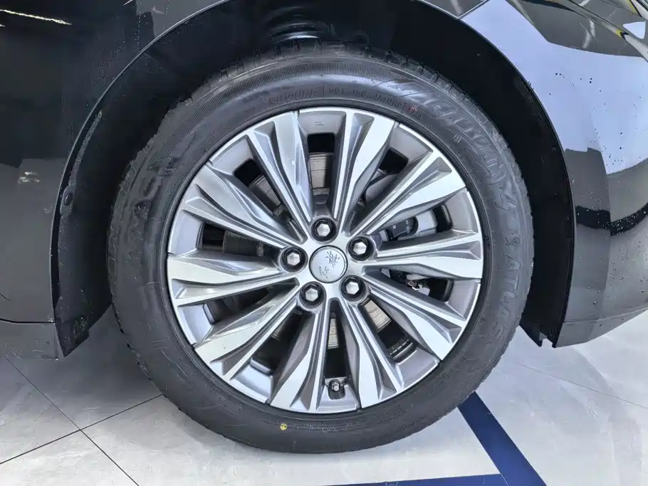 Hongqi E-QM5 2024 500km