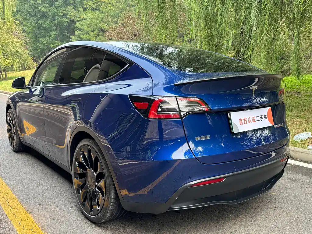 Tesla Model Y — фотографии объявления, Фото 6