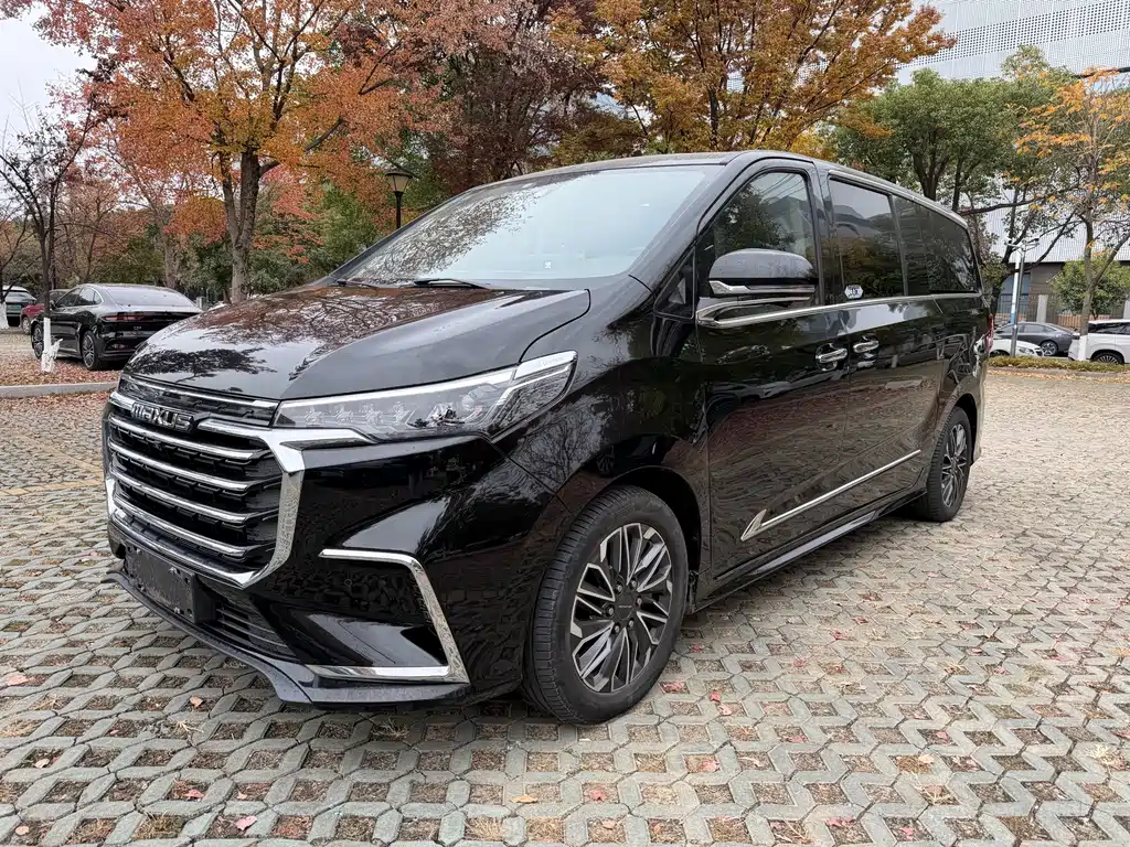 SAIC MAXUS CHASE G20