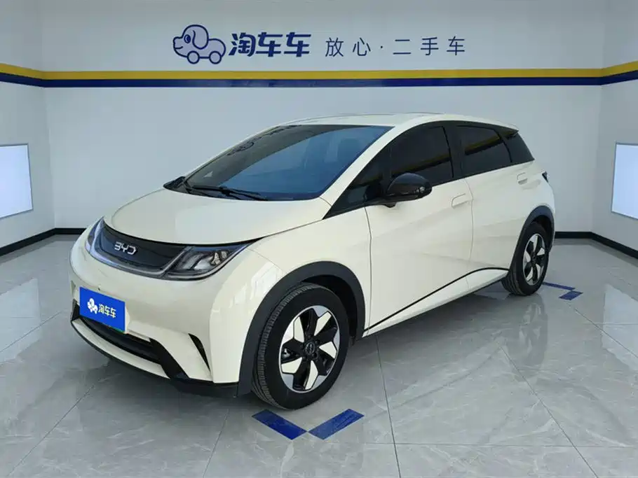 Byd Dolphin 2024