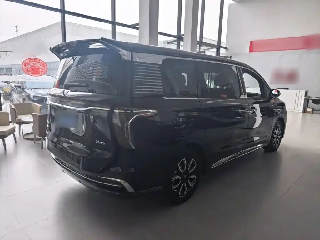 Hongqi Hongqi HQ9 — миниатюра 12