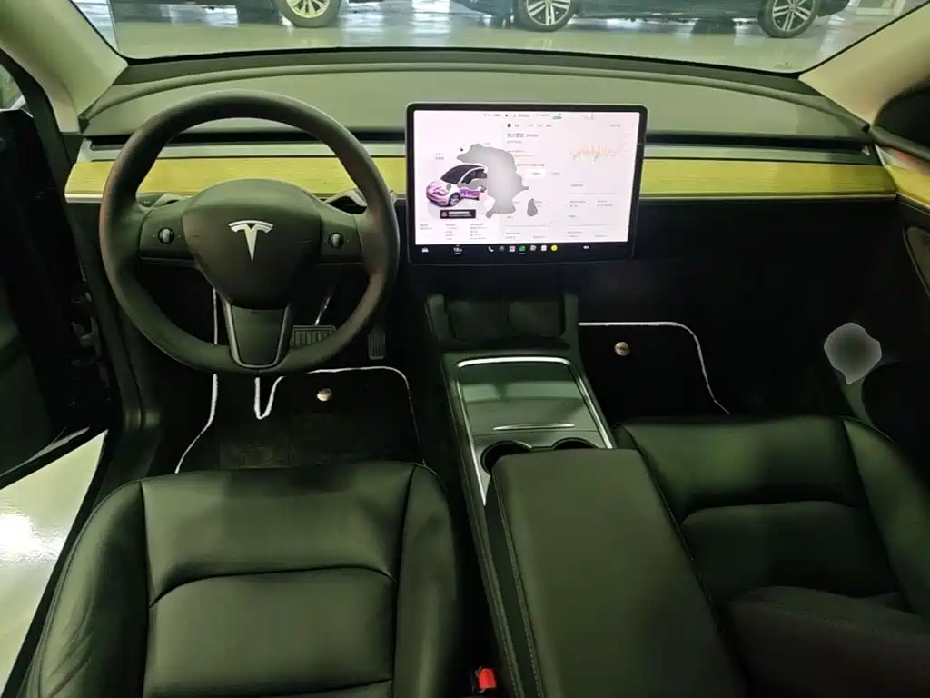 Tesla Model Y — миниатюра 10