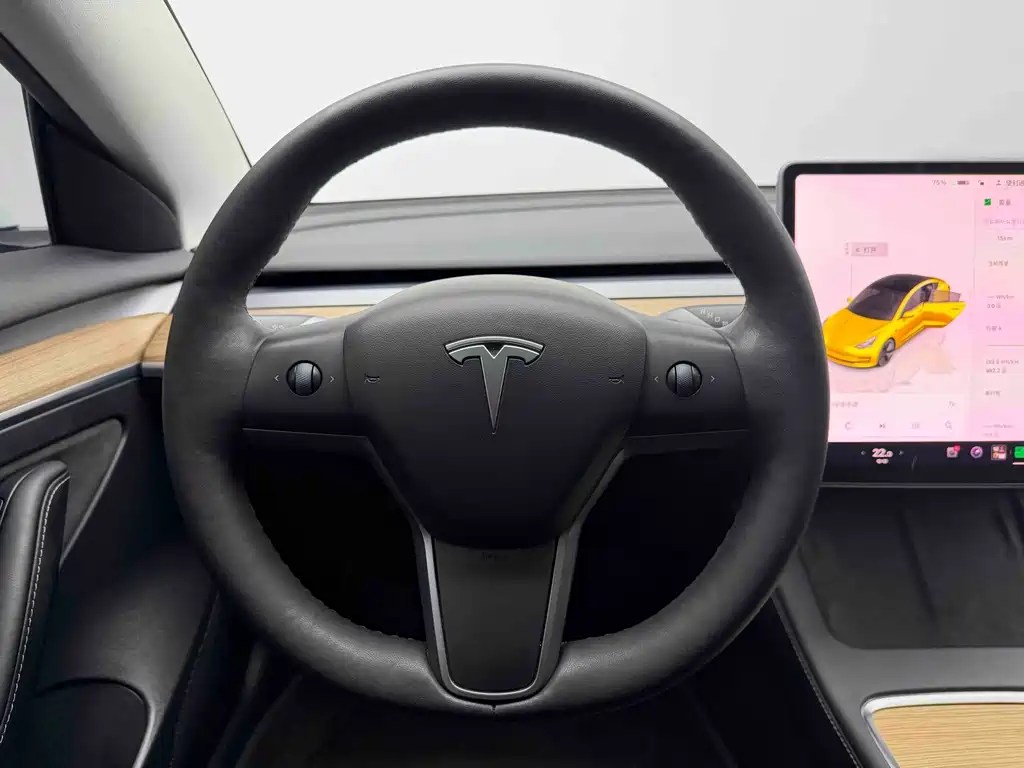 Tesla Model 3 — миниатюра 14