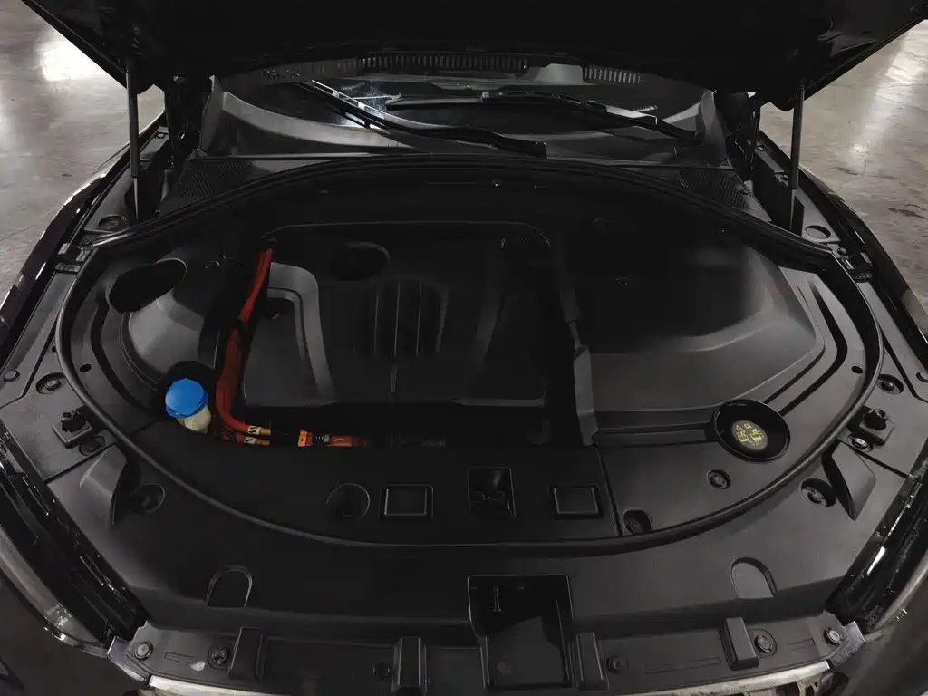 Wey VV7 2020 PHEV 2.0T Flagship
