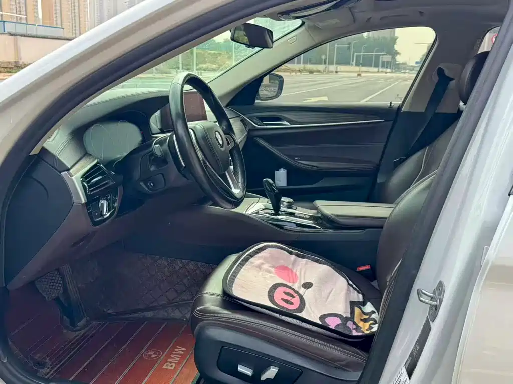 BMW 5 Series 5 2019 530Li Lead Luxury