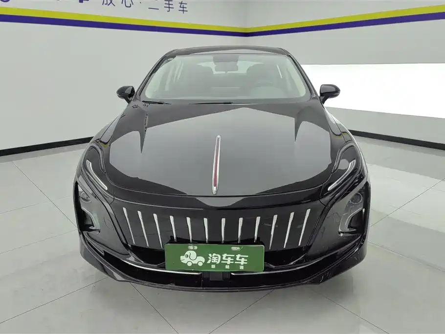 Hongqi HONGQI E QM5