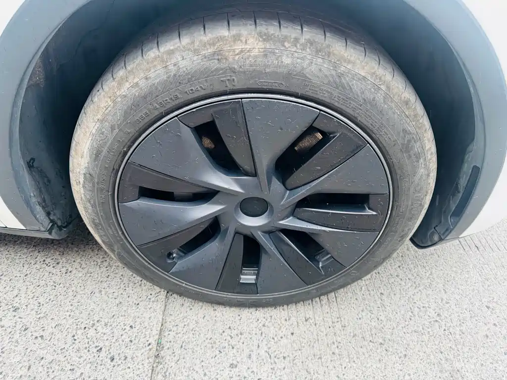 Tesla Model Y — миниатюра 8