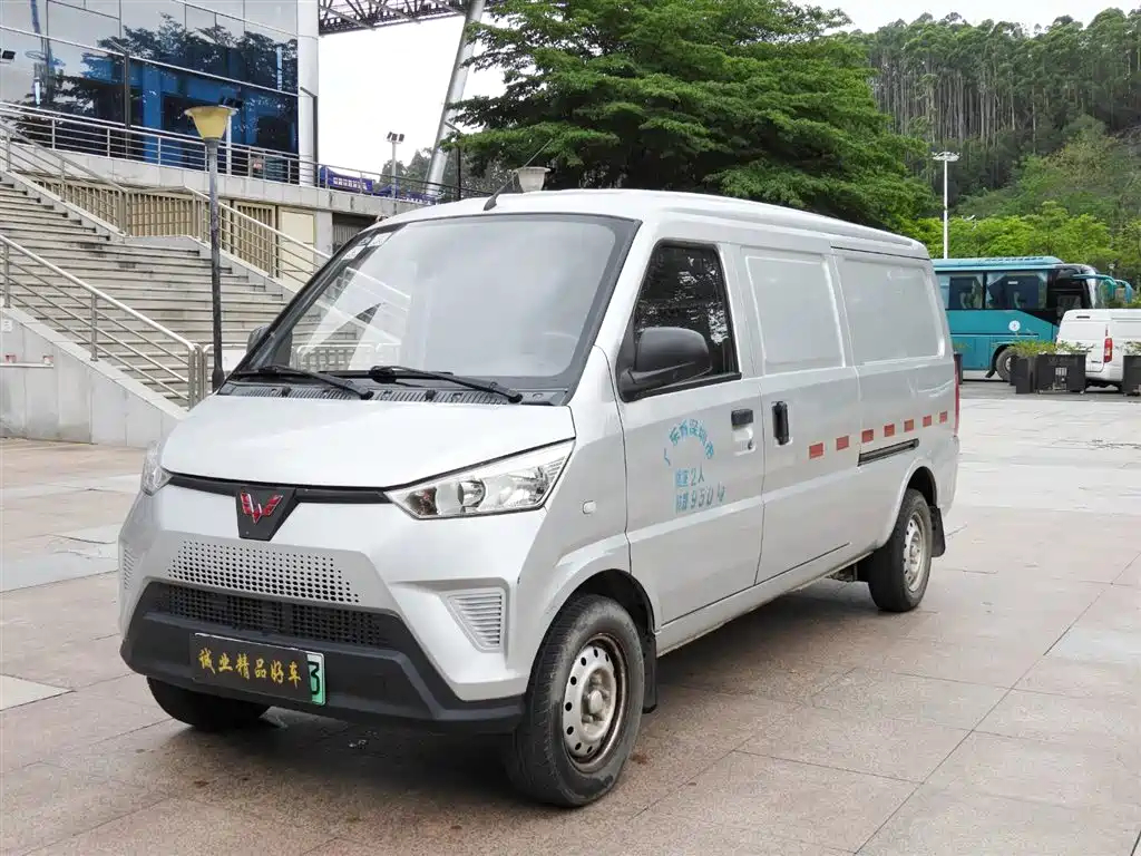 Wuling Wuling EV50 2021