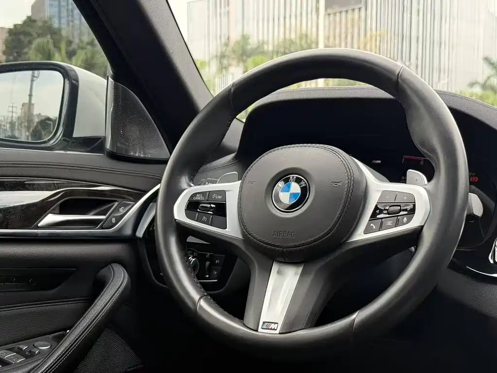 BMW 5 Series 5 2020 530Li Lead M Sport