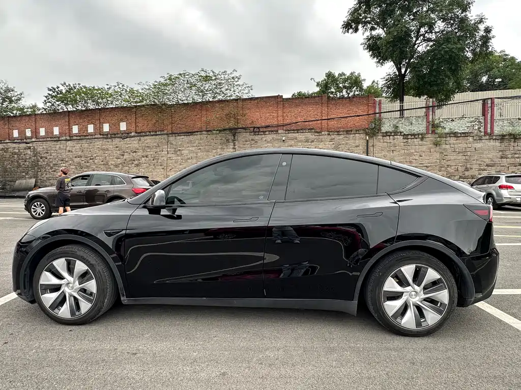 Tesla Model Y — миниатюра 13
