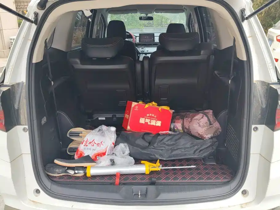 Honda Odyssey — миниатюра 4