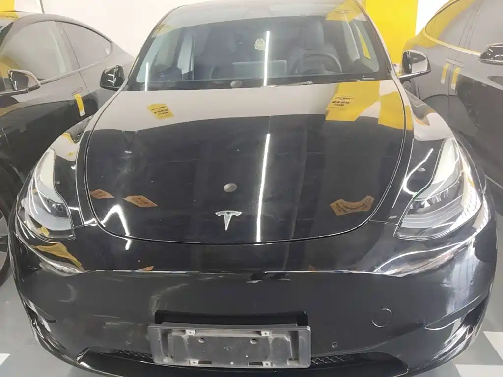 Tesla Model Y — миниатюра 3