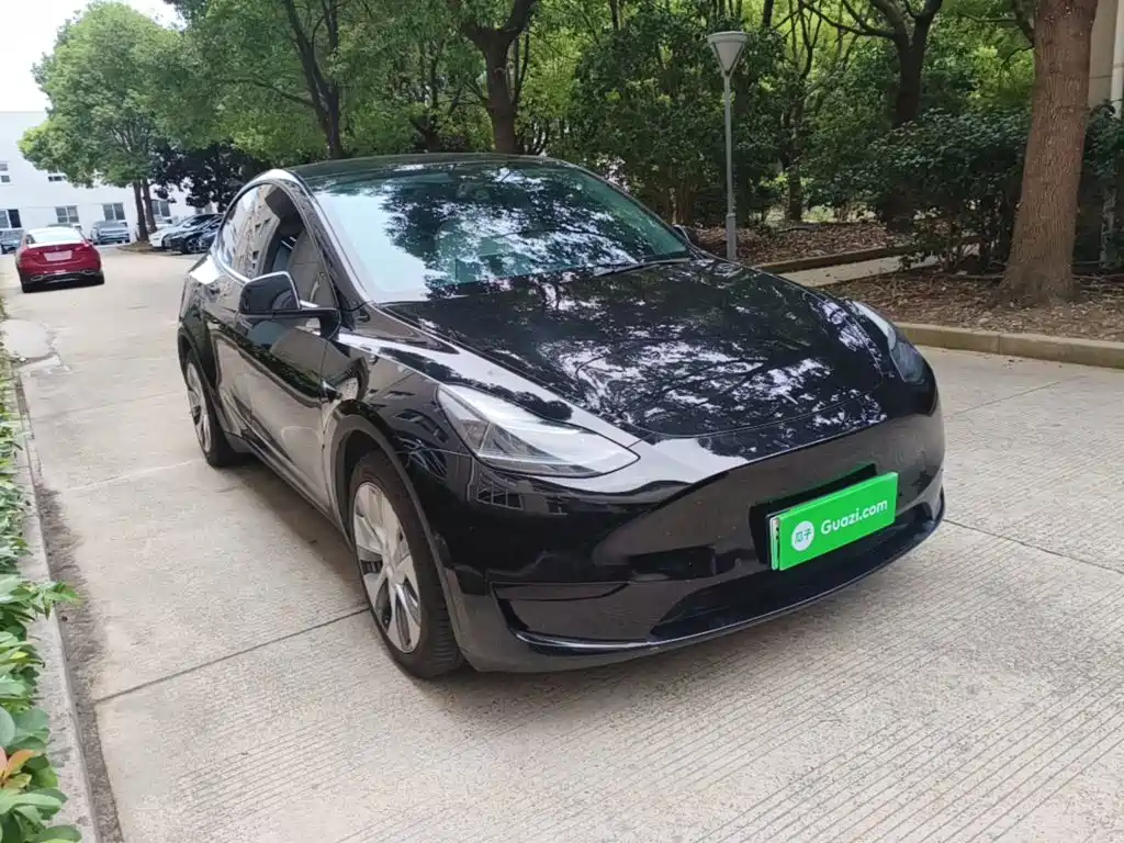 Tesla Model Y — миниатюра 4