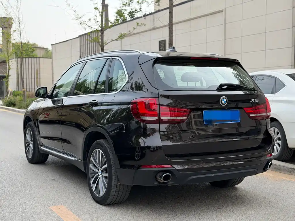 BMW X5 2014 xDrive35i Lead