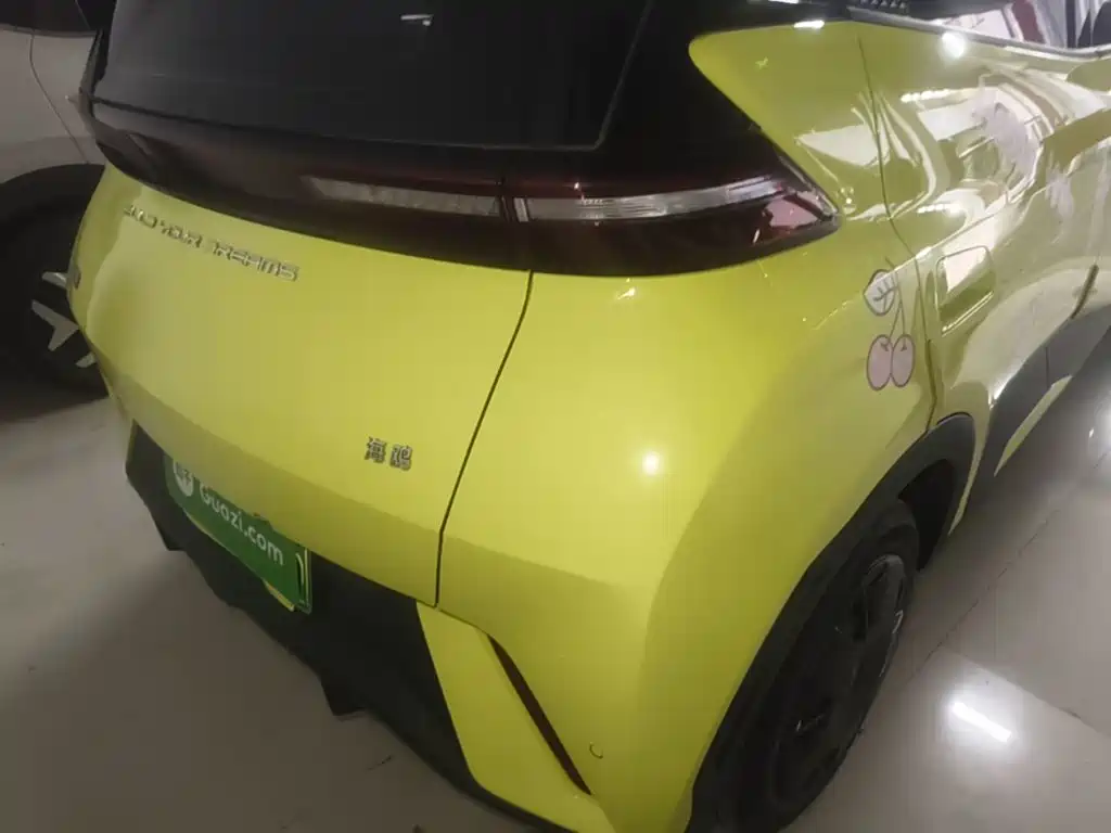 BYD Seagull 2024 305km