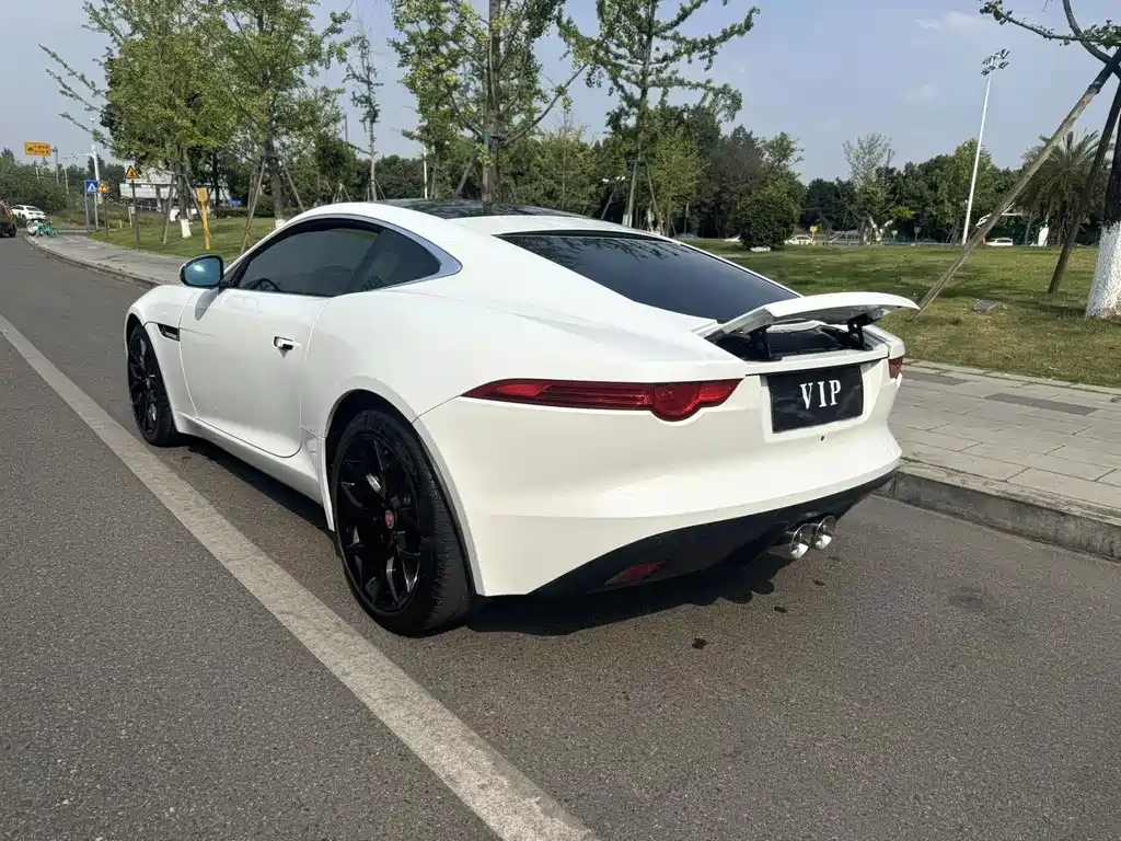 Jaguar F-TYPE — миниатюра 6