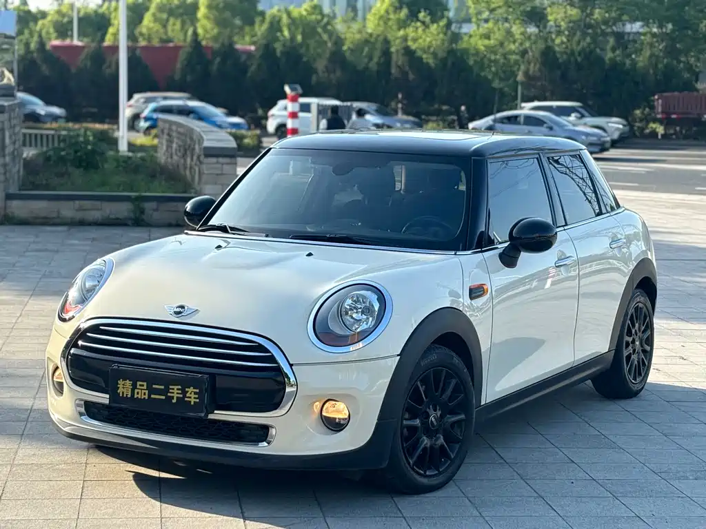 Mini Mini 2015