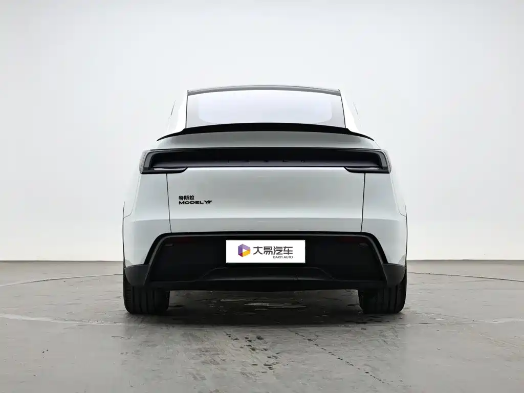 Tesla Model Y L — миниатюра 4