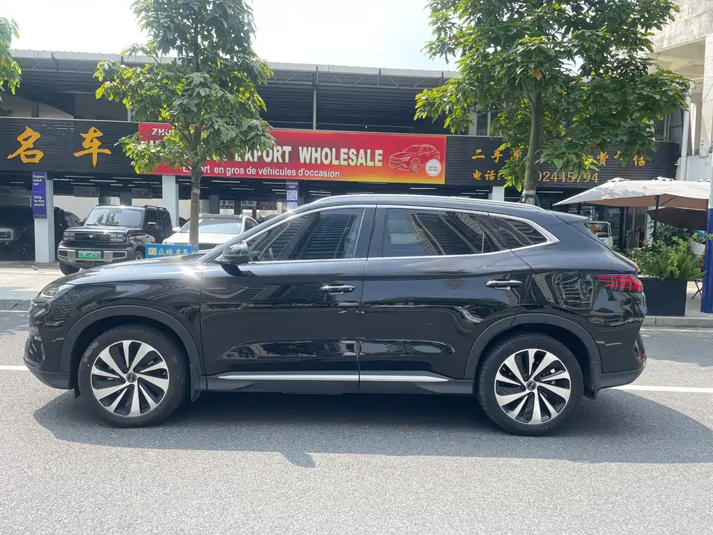 BYD PLUS New Energy — миниатюра 7