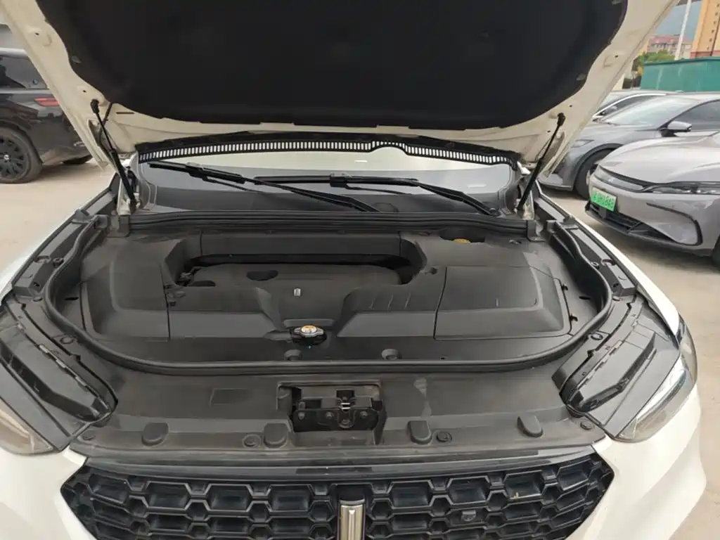 Wey Wey VV6 — миниатюра 20