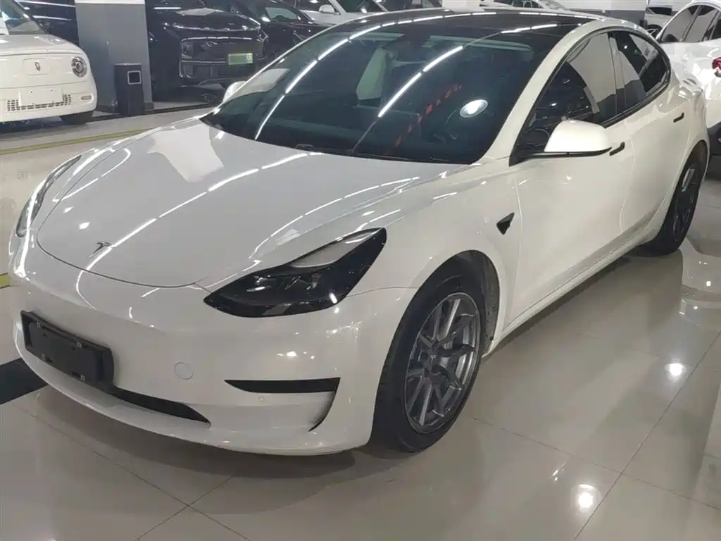 Tesla Model 3 2021