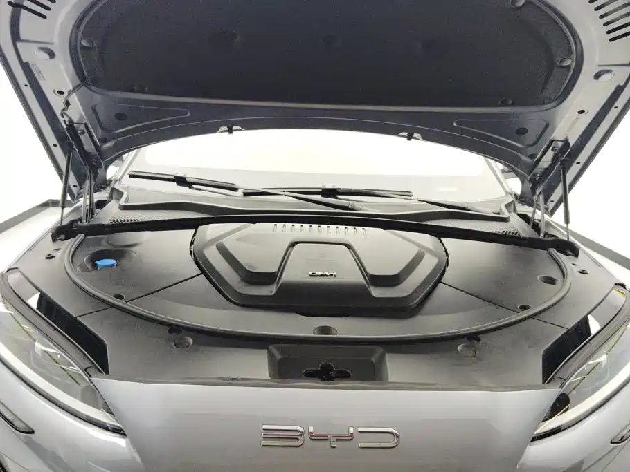 BYD PLUS New Energy — миниатюра 10