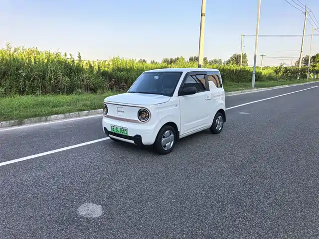2025 Geely LC (Panda)