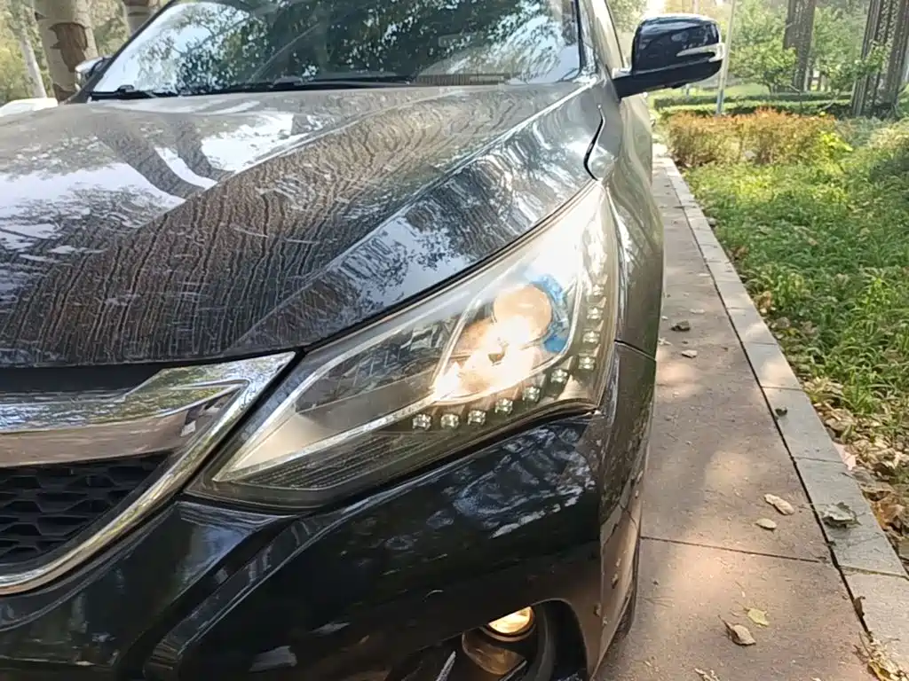 BYD Song — миниатюра 24