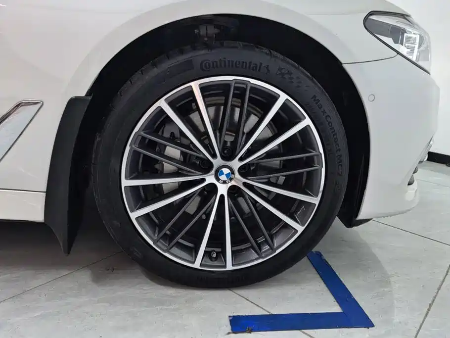 BMW 5 Series 5 2020 530Li Premium Luxury
