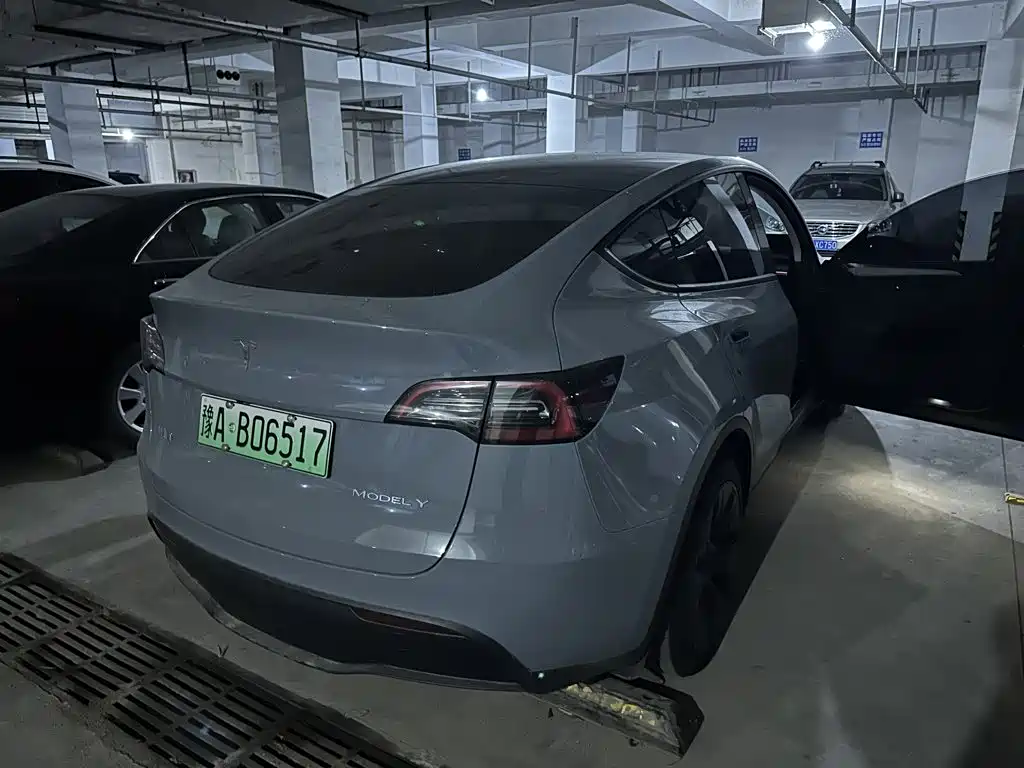 Tesla Model Y — миниатюра 2