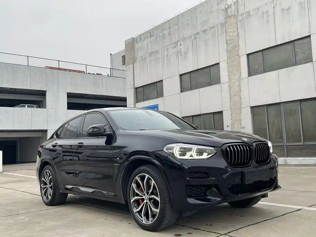 BMW X4 2020 xDrive25i M