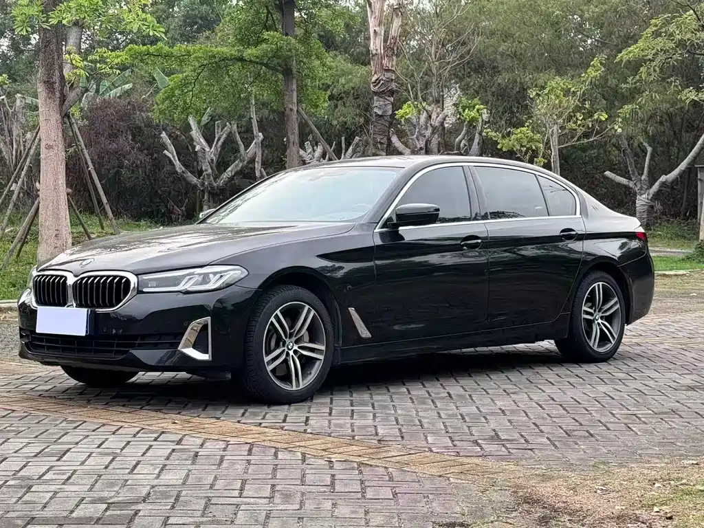 BMW 5 Series 2021