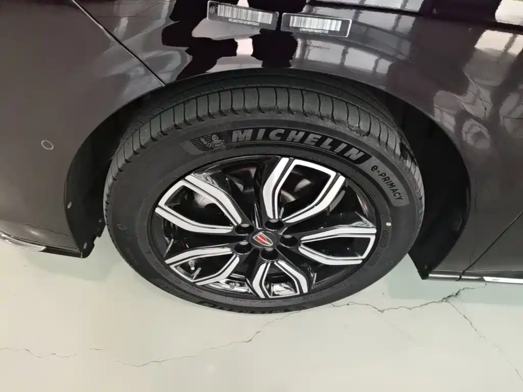 Hongqi Hongqi HQ9 — миниатюра 23