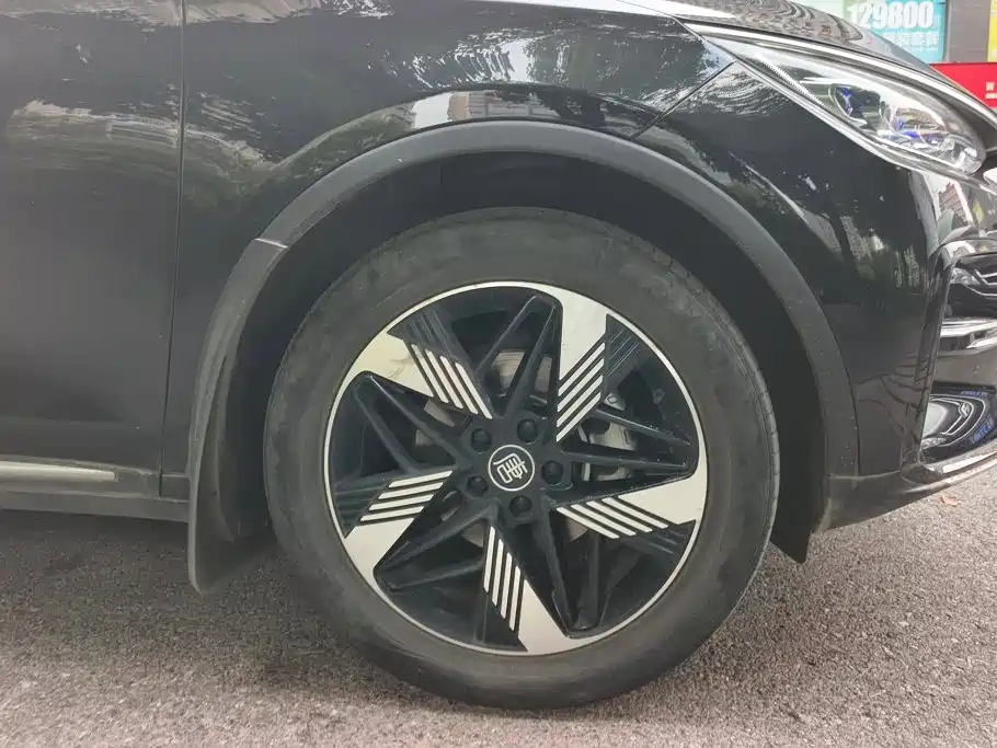 BYD Tang New Energy — миниатюра 6