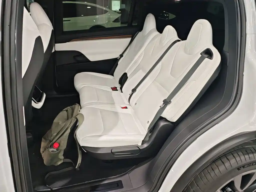 Tesla Model X — миниатюра 17