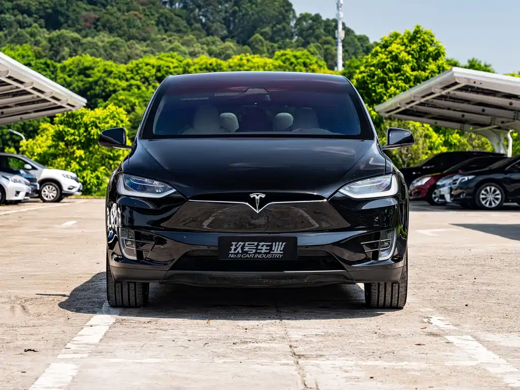 Tesla Model X — миниатюра 2