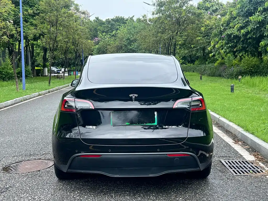 Tesla Model Y — миниатюра 6
