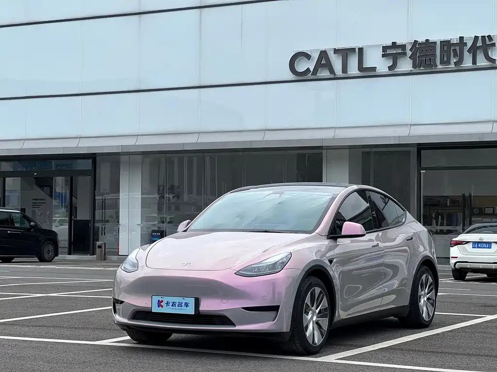 Tesla Model Y — миниатюра 2