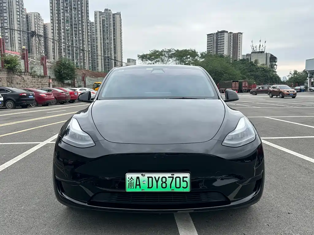 Tesla Model Y — миниатюра 2