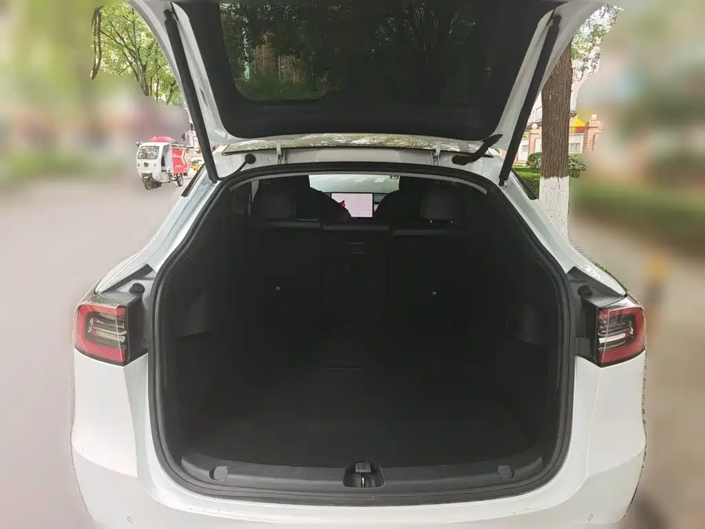 Tesla Model Y — миниатюра 20