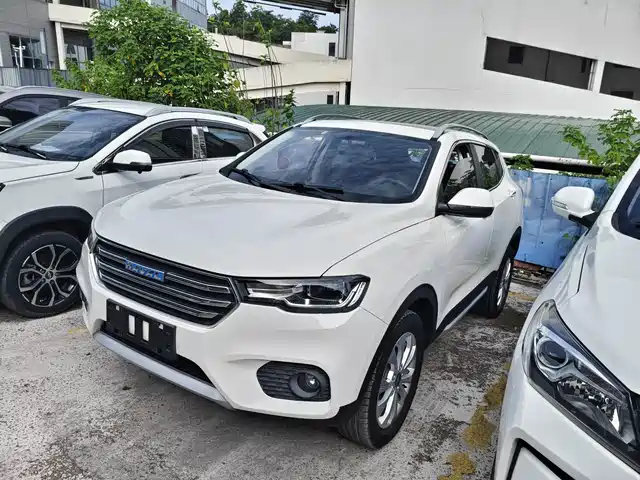 2017 Haval H2
