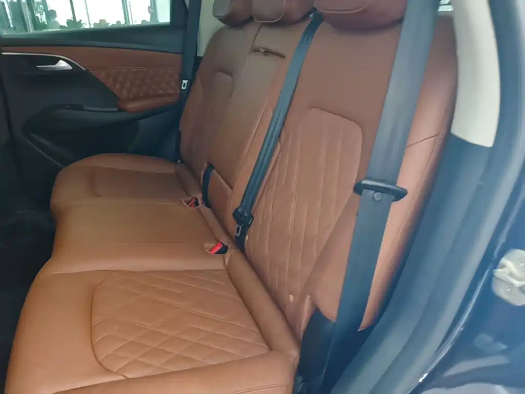 Borgward BX7 — миниатюра 17