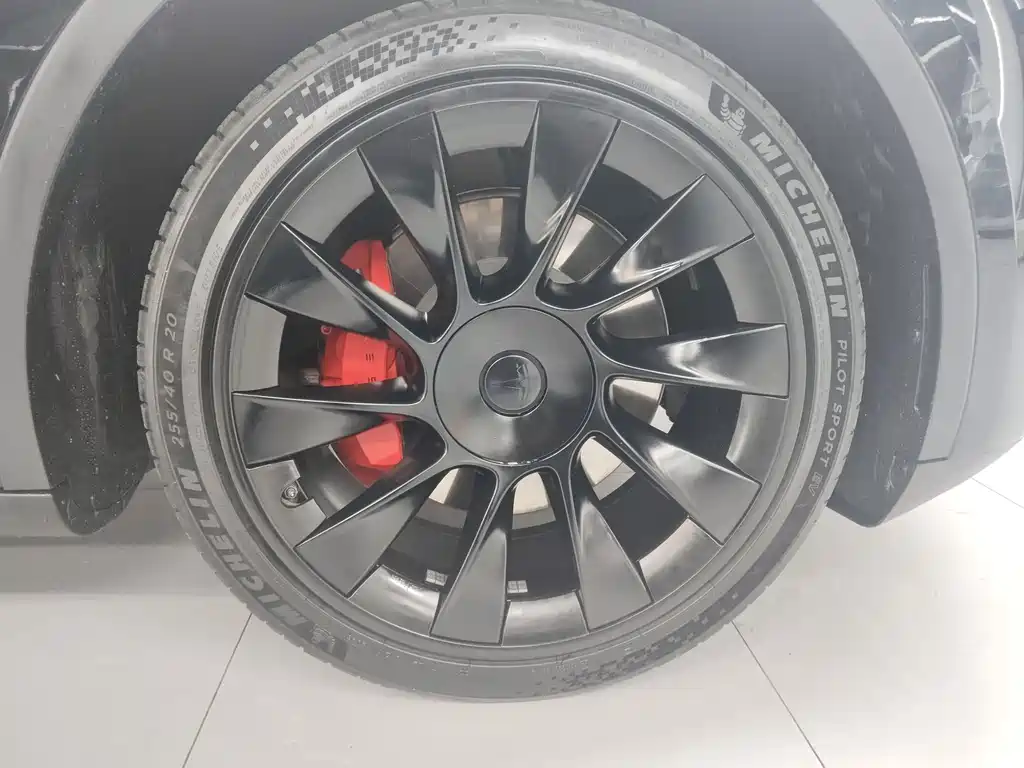 Tesla Model Y — миниатюра 10
