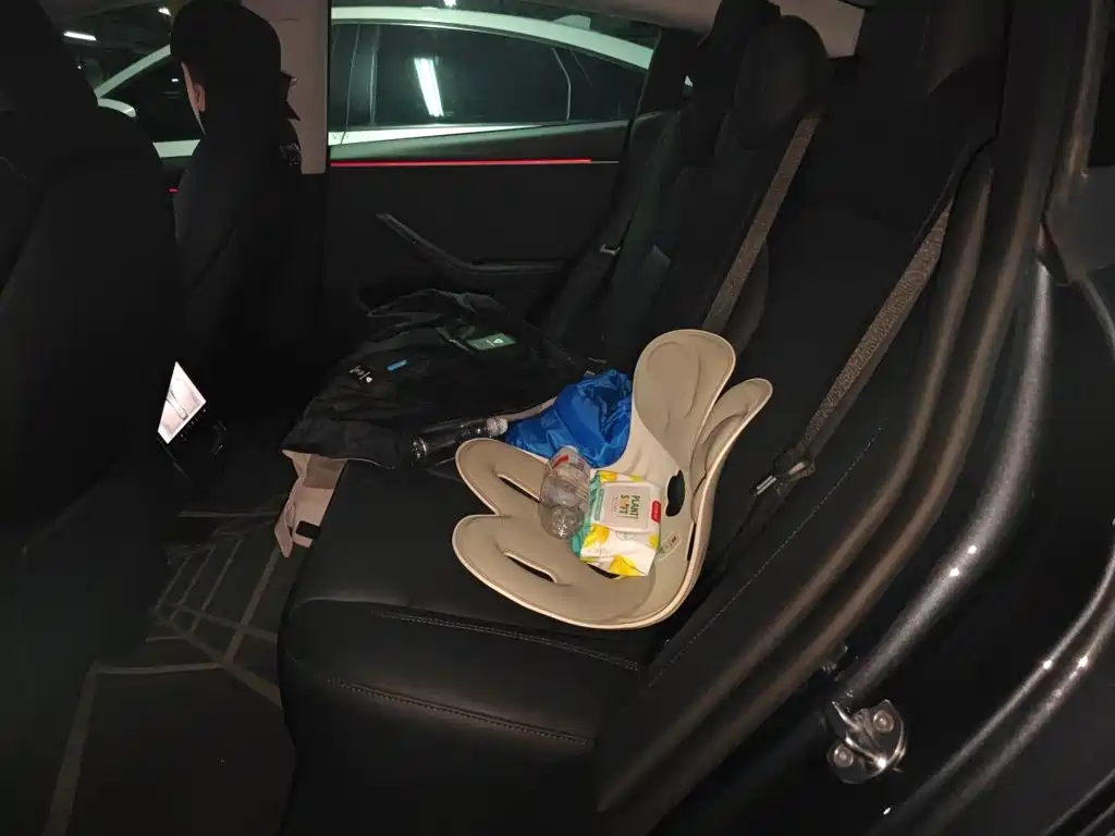 Tesla Model 3 — миниатюра 13