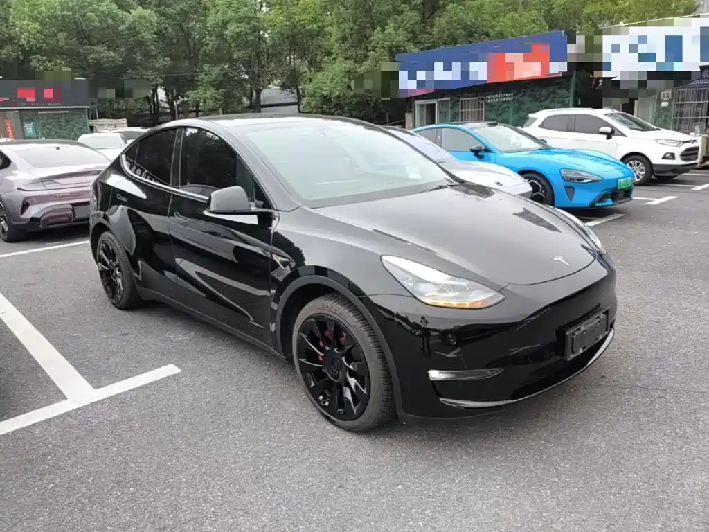 Tesla Model Y — миниатюра 4