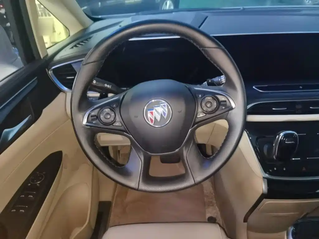 Buick GL8 — миниатюра 11